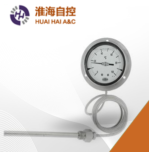 WTZ/WTQ系列壓力式溫度計